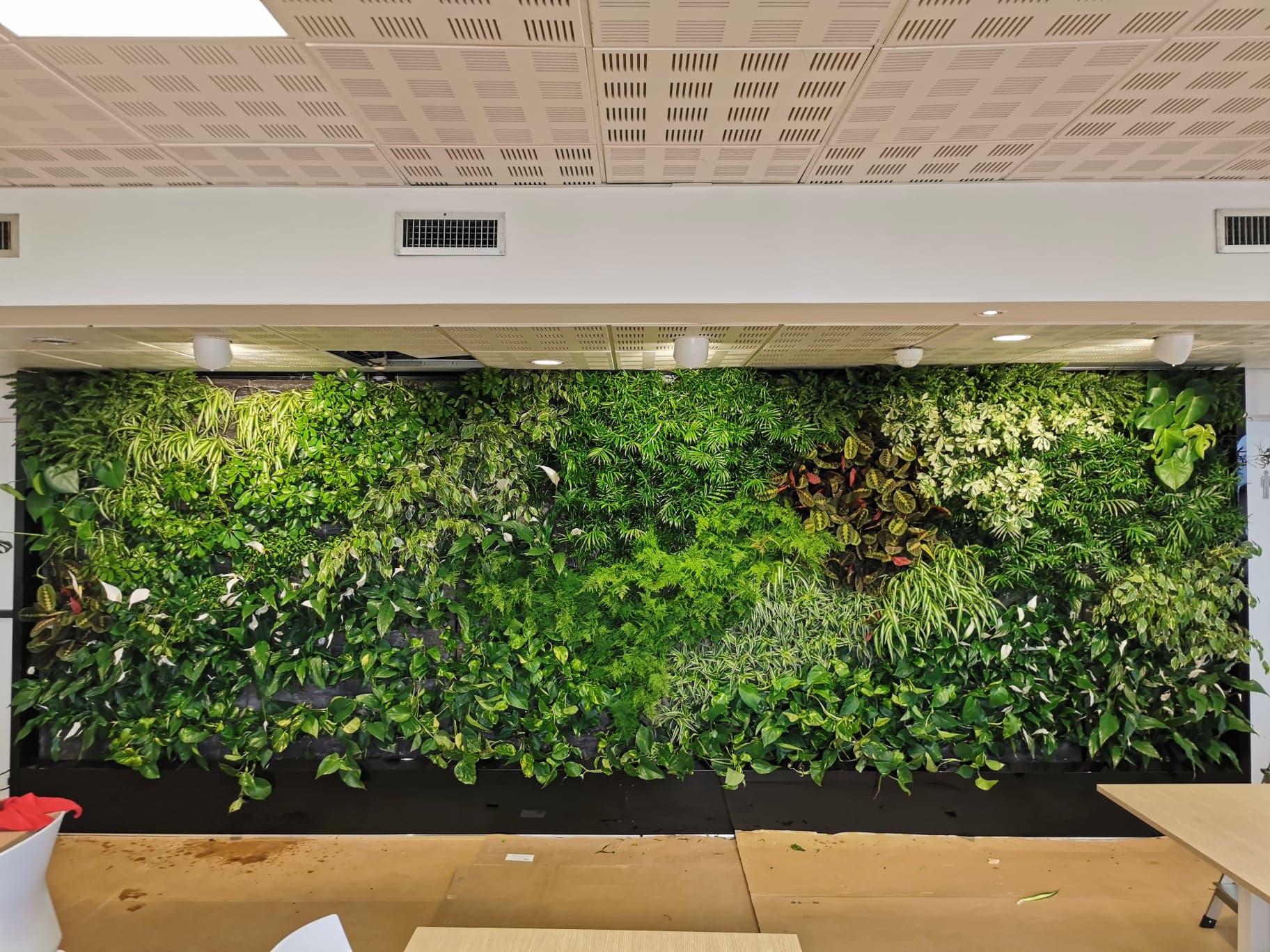 Un mur vivant, ça se pilote